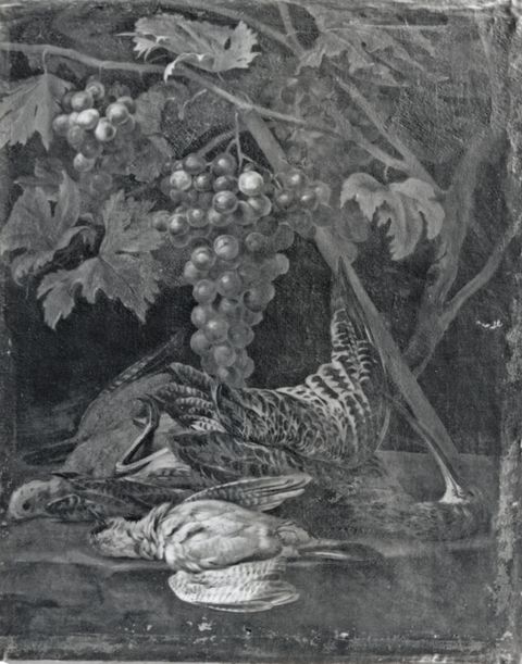 Archivio Fotografico della Pinacoteca Civica di Ascoli Piceno — Autore non indicato - sec. XVII - Natura morta con tralci d'uva e selvaggina — insieme